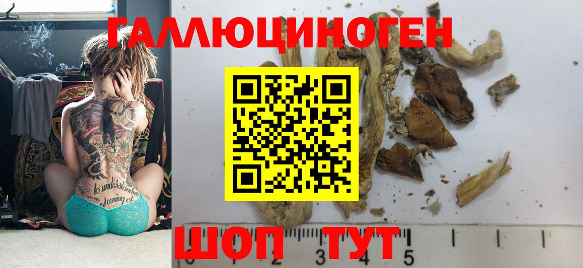 Котельники  Псилоцибиновые грибы прущие грибы  Вход с VPN 